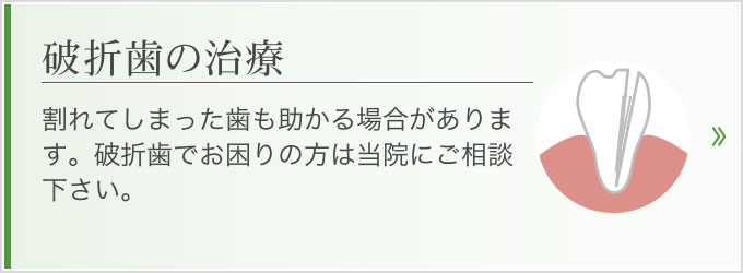 割れてしまった歯も助かる場合があります。破折歯でお困りの方は当院にご相談下さい。