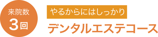 来院数3回 やるからにはしっかり デンタルエステコース